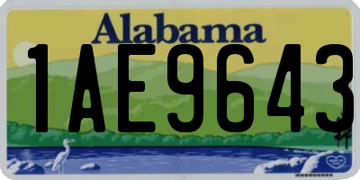 AL license plate 1AE9643