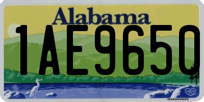 AL license plate 1AE9650
