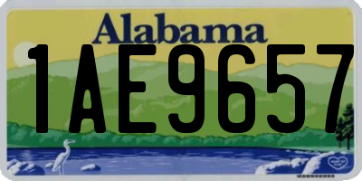 AL license plate 1AE9657