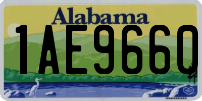 AL license plate 1AE9660