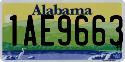 AL license plate 1AE9663