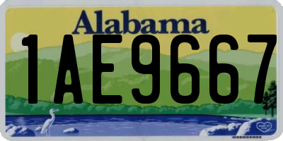 AL license plate 1AE9667