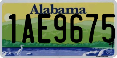 AL license plate 1AE9675