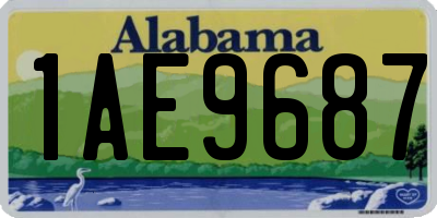AL license plate 1AE9687