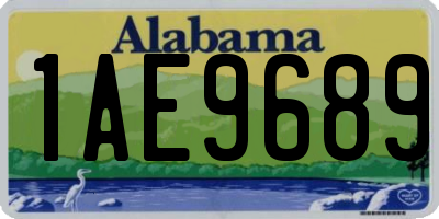 AL license plate 1AE9689