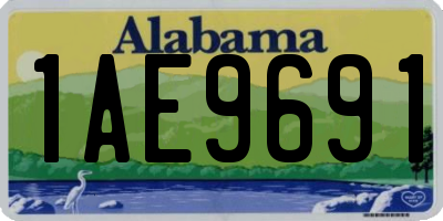 AL license plate 1AE9691