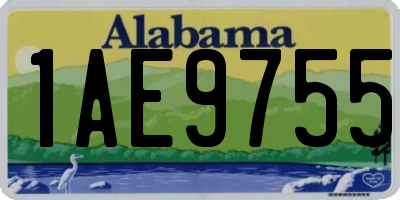 AL license plate 1AE9755