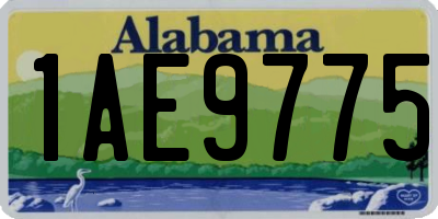 AL license plate 1AE9775