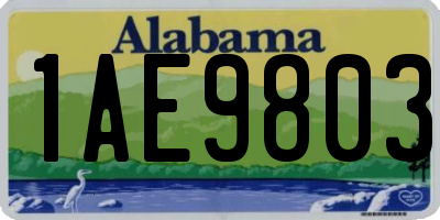 AL license plate 1AE9803