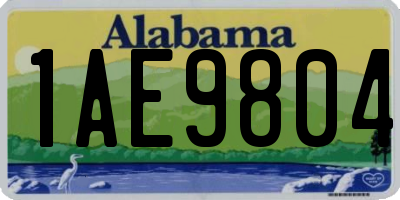 AL license plate 1AE9804