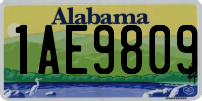 AL license plate 1AE9809