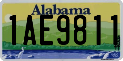 AL license plate 1AE9811