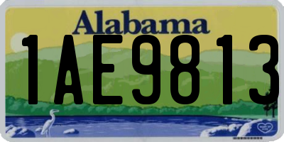 AL license plate 1AE9813