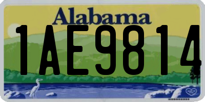 AL license plate 1AE9814