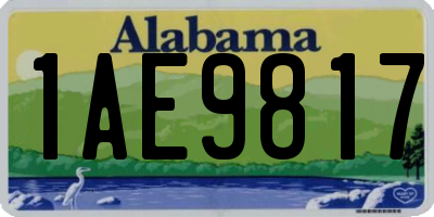 AL license plate 1AE9817