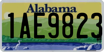 AL license plate 1AE9823