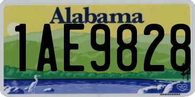 AL license plate 1AE9828