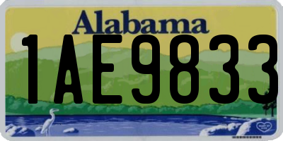 AL license plate 1AE9833