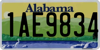 AL license plate 1AE9834