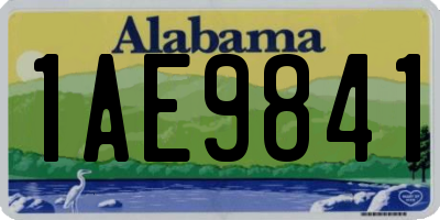 AL license plate 1AE9841
