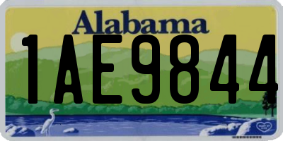 AL license plate 1AE9844