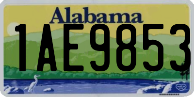 AL license plate 1AE9853