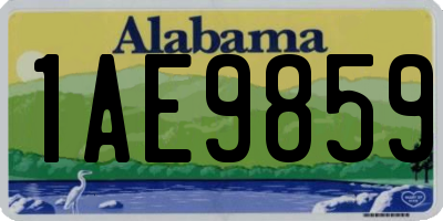 AL license plate 1AE9859
