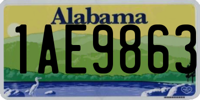 AL license plate 1AE9863