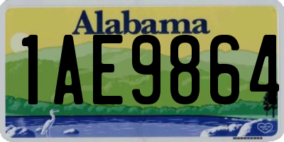 AL license plate 1AE9864