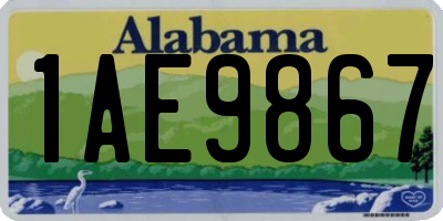 AL license plate 1AE9867