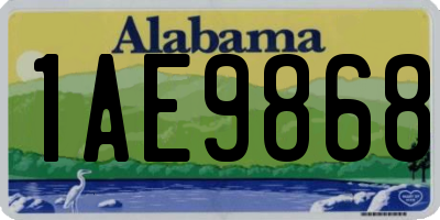 AL license plate 1AE9868