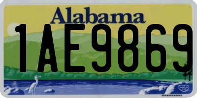 AL license plate 1AE9869