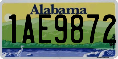 AL license plate 1AE9872