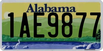 AL license plate 1AE9877