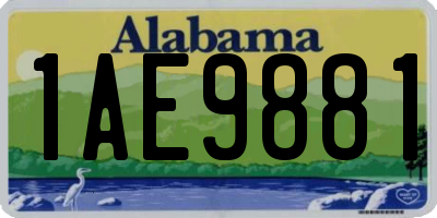 AL license plate 1AE9881