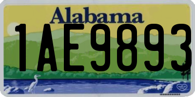 AL license plate 1AE9893