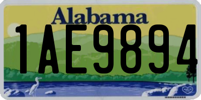 AL license plate 1AE9894
