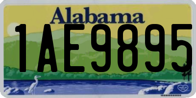 AL license plate 1AE9895