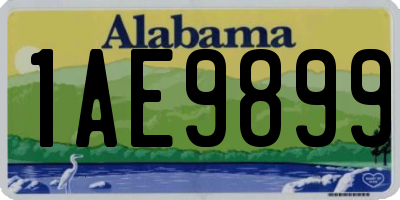 AL license plate 1AE9899