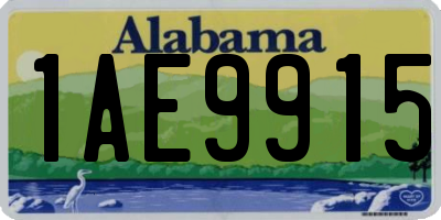 AL license plate 1AE9915