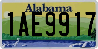 AL license plate 1AE9917
