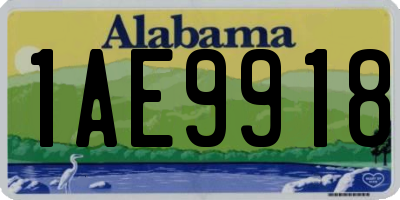 AL license plate 1AE9918