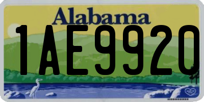 AL license plate 1AE9920
