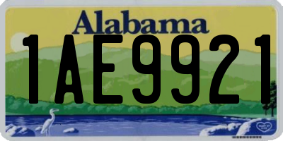 AL license plate 1AE9921