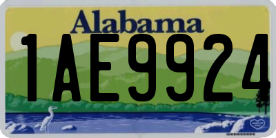 AL license plate 1AE9924