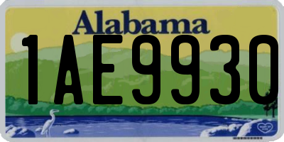 AL license plate 1AE9930
