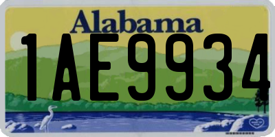 AL license plate 1AE9934