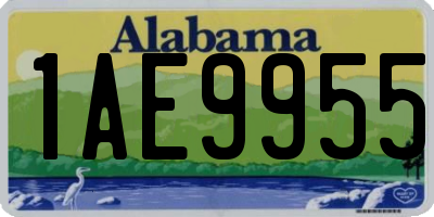 AL license plate 1AE9955