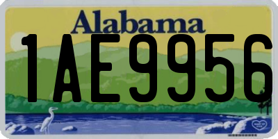 AL license plate 1AE9956