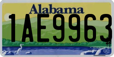 AL license plate 1AE9963